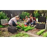 Két fiatal lány és egy nő a kertben dolgozik, zöld salátákat gondozva. A háttérben KETER STACK'N'ROLL szerszámosláda látható, nyitott tetejével, mellette különféle szerszámok és kertészeti eszközök. A napfényes környezet szép